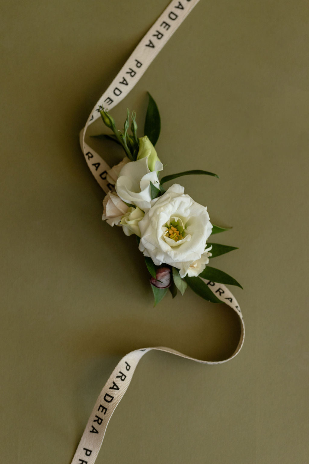 CORSAGE