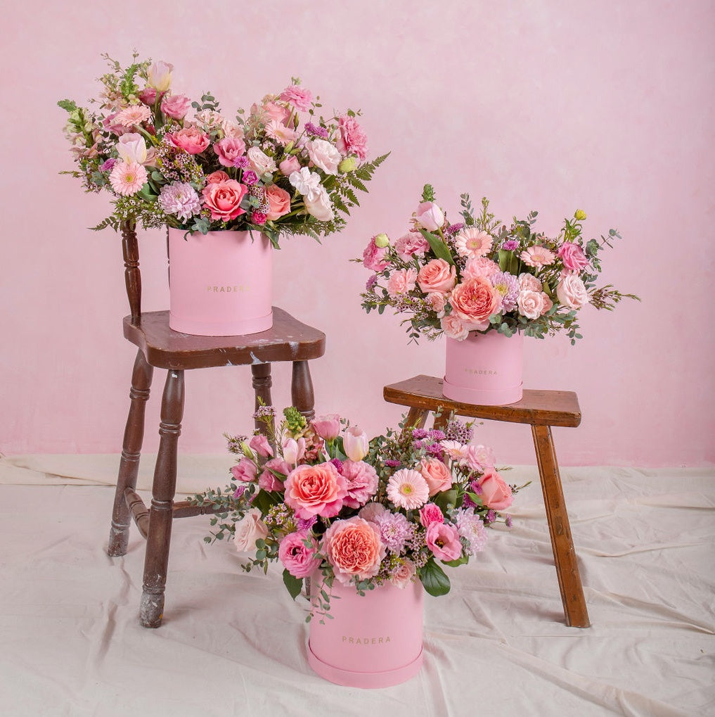 PRADERA ROSA CHICO