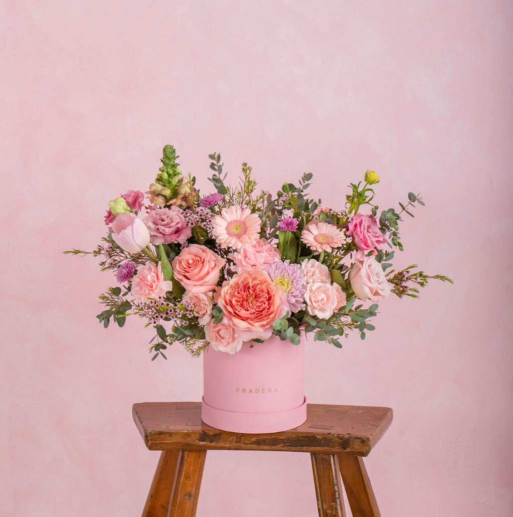 PRADERA ROSA CHICO