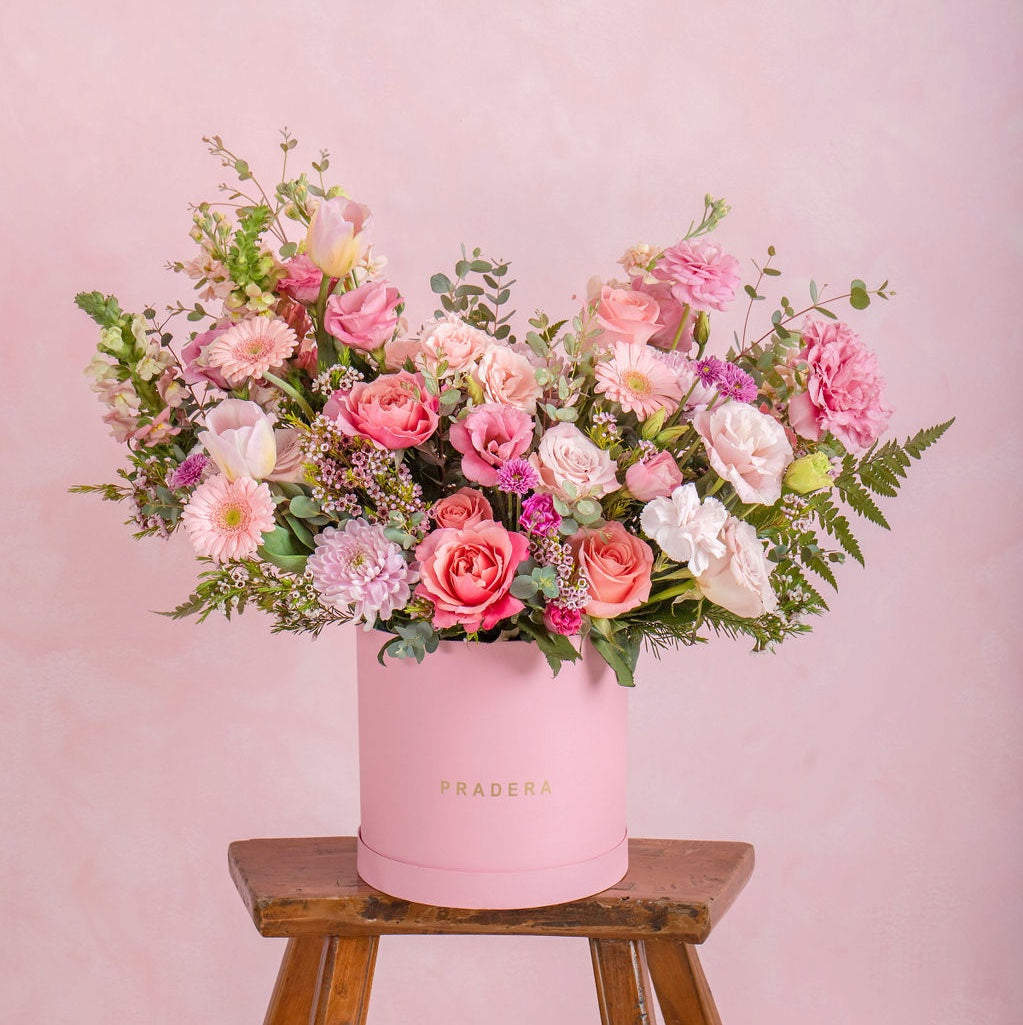 PRADERA ROSA EXTRA GRANDE