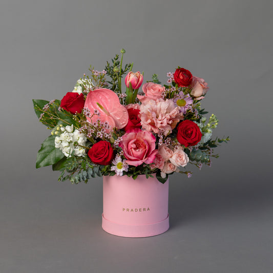 PRADERA ROMANTICO CHICO