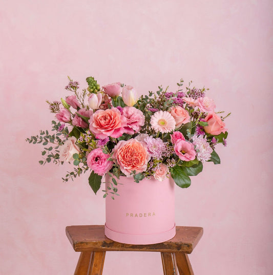 PRADERA ROSA GRANDE