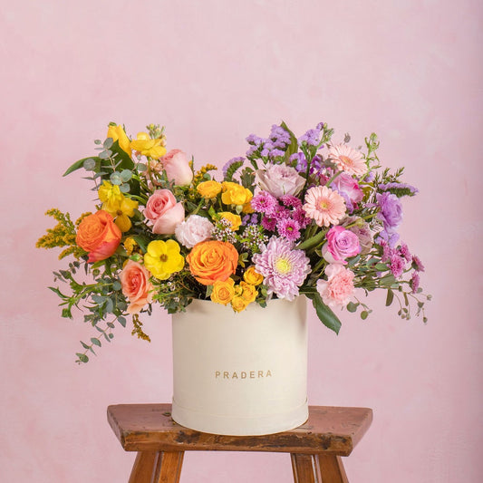 PRADERA PRIMAVERAL GRANDE