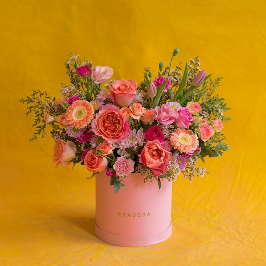 PRADERA ROSA GRANDE