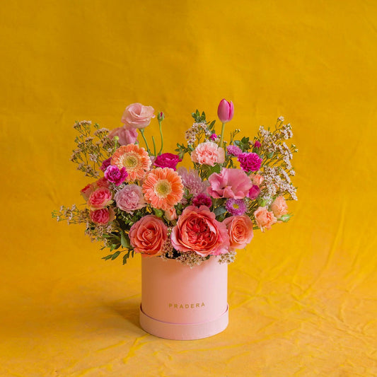 PRADERA ROSA CHICO