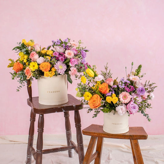 PRADERA PRIMAVERAL CHICO