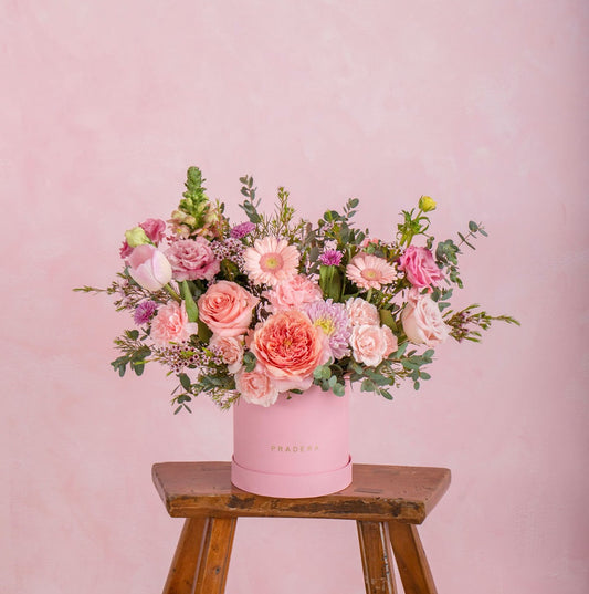 PRADERA ROSA CHICO