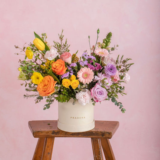 PRADERA PRIMAVERAL CHICO